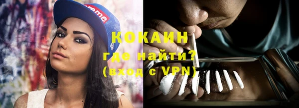 крисы Куйбышев