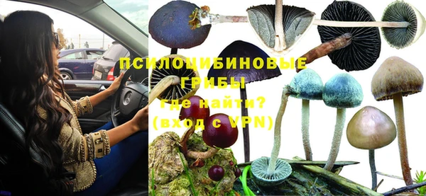 крисы Куйбышев