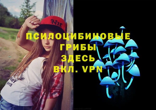 ешки Кукмор