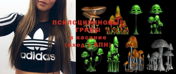 ешки Кукмор